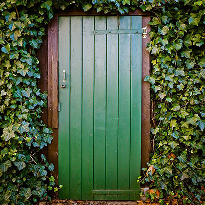 Green door surrounded by ivy.